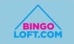 Bingo Loft casino sister site
