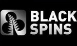 Black Spins casino sister site