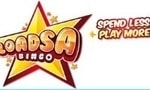 Loadsa Bingo casino sister site