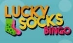 Luckysocks Bingo casino sister site