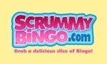 Scrummy Bingo casino sister site