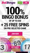 Bid Bingo sister site