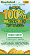 Bingo Ireland screenshot