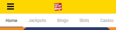 Pickmeup Bingo sister sites