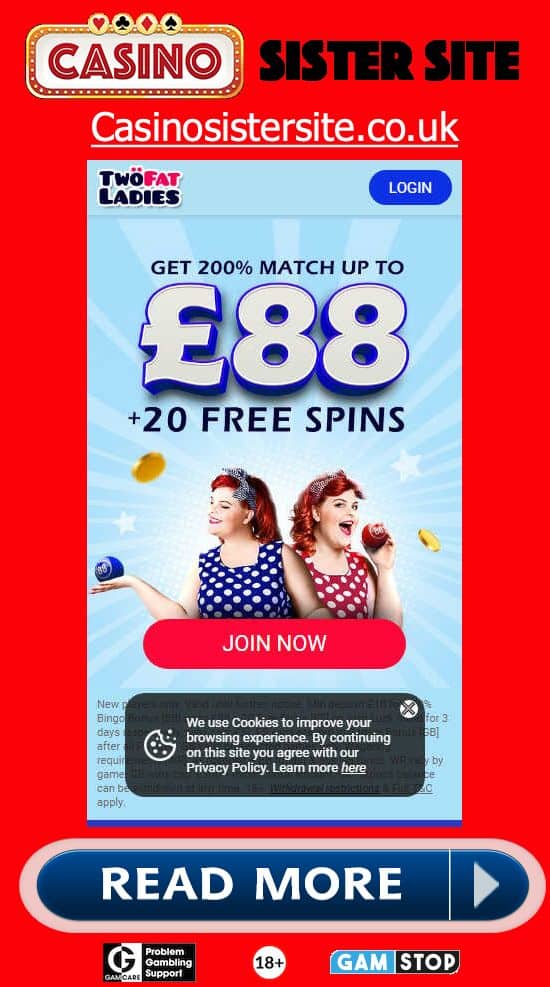 Bingo Inthesun screenshot