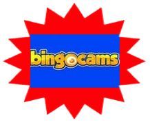 Bingo Cams sister site UK logo