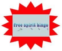 Freespirit Bingo sister site UK logo