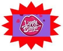 Lippy Bingo sister site UK logo