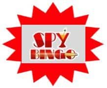 Spy Bingo sister site UK logo