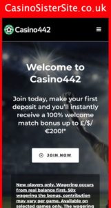casino442 com mobile screenshot