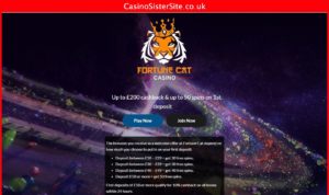 fortunecatcasino com desktop screenshot 1