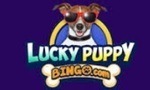 Lucky Puppy Bingo sister sites 2024