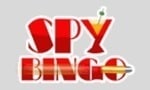 Spy Bingo is a Big World Casino sister site