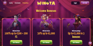 winota casino screenshot 29