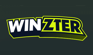 Winzter logo