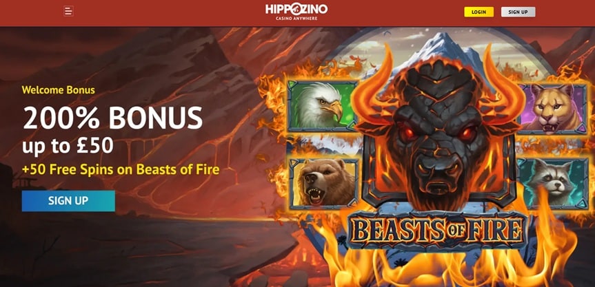 Hippozino sister sites website