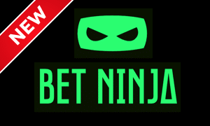 Bet Ninja logo